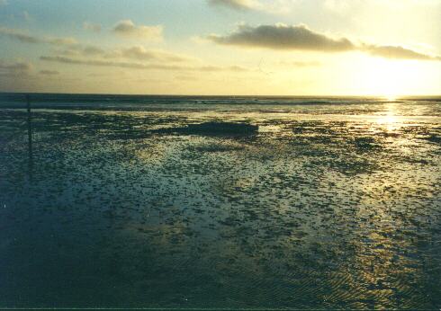 Watt am Abend 1996